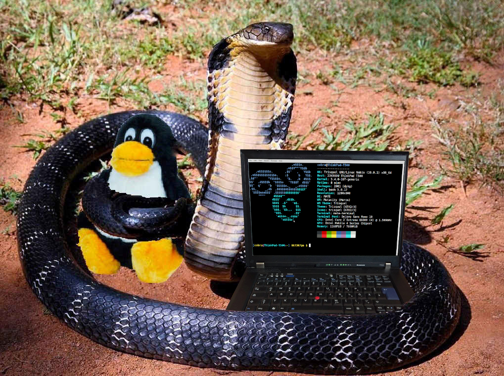 The first iteration of my cobra profile picture